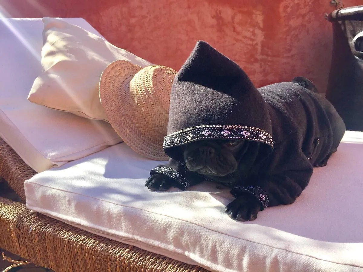 Homestay szállás Riad Mon Grigri Apartman Marrákes
